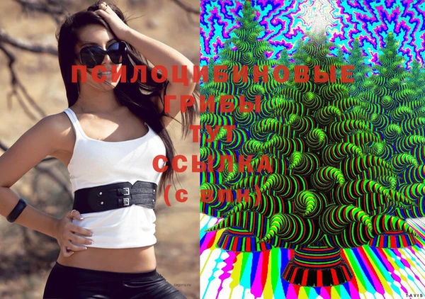 apvp Балахна