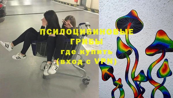 apvp Балахна