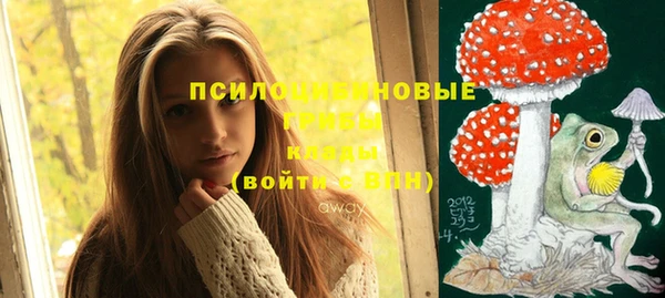 apvp Балахна