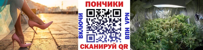 Конопля LSD WEED  купить  цена  Новотитаровская 